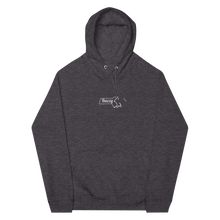 Load image into Gallery viewer, Buzzy x Massachusetts Hoodie
